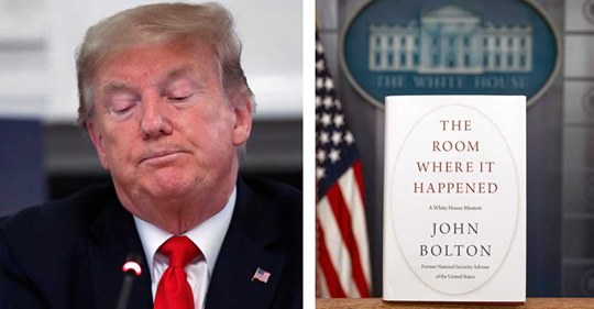 Självbeskriven Dumhet