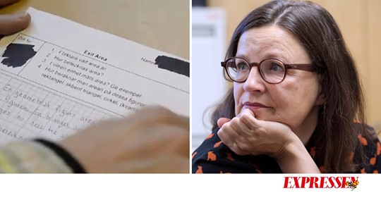 Institutionaliserat Skolfusk