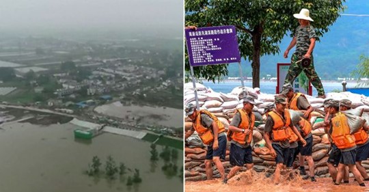 Brustna Kinesiska Dammar