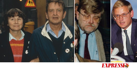 Palmemordet Hänger I