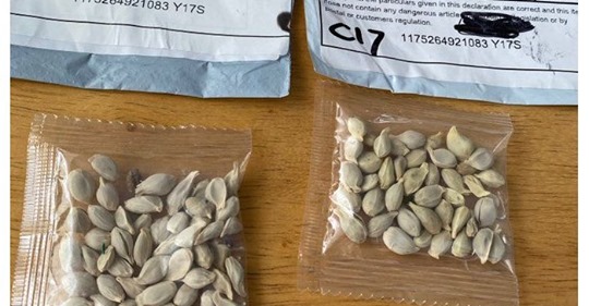 Djupa Undermineringsförsök