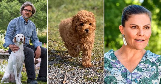 Indelningstankens Första Större Organiserade Livmoder