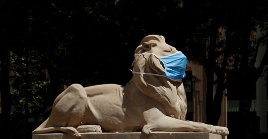 WHO Flaggar För Mer Corona