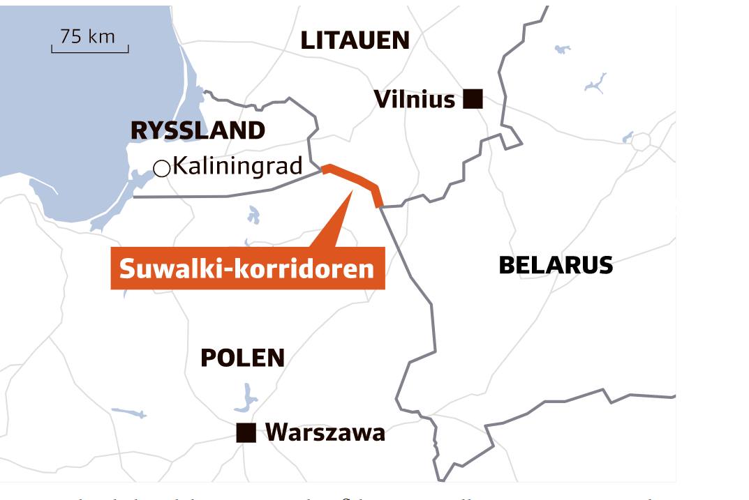SvD Om Valet I Belarus