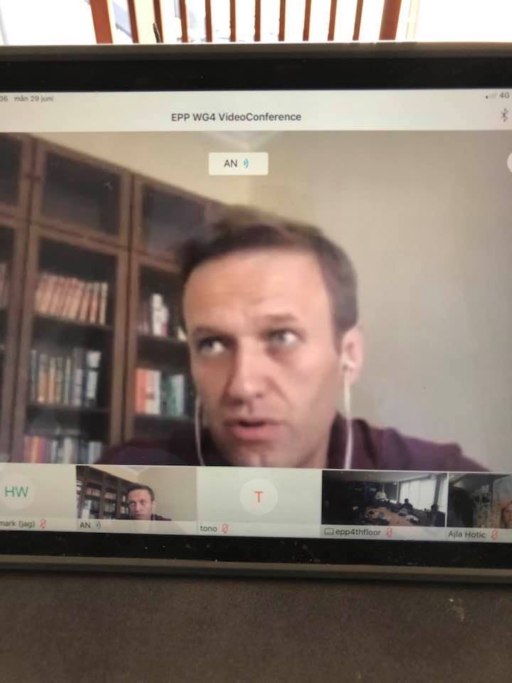 Wallmark Om Navalny, Mördare & Giftkokare