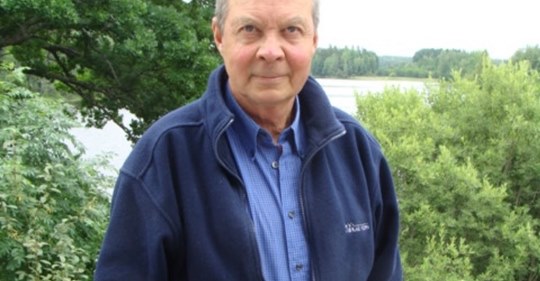 Det Svenska Rättssystemet