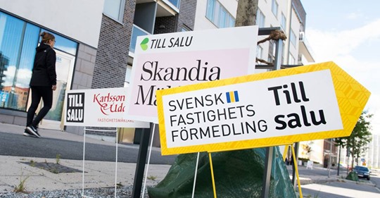 DI Pandimerar Vidare