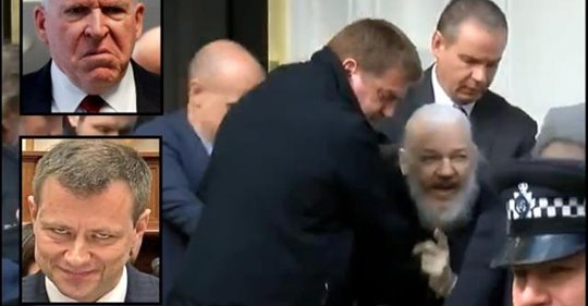 Behov Av Assanges Frihetsberövande