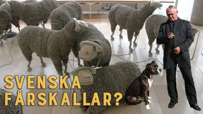 Bara döda fiskar följer strömmen