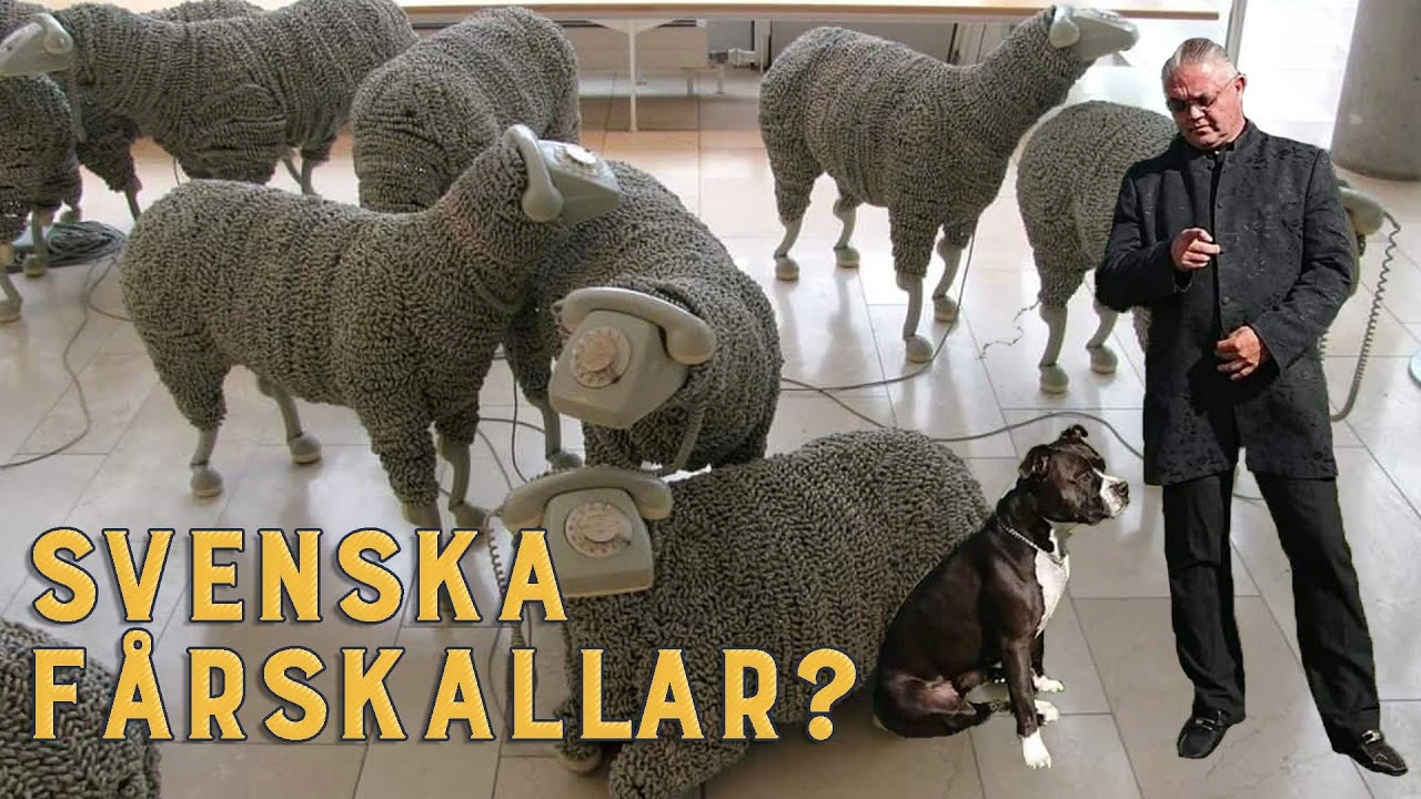 Bara döda fiskar följer strömmen