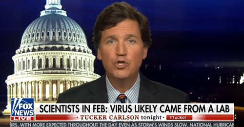 Gårdagens Fox I Ett Svep