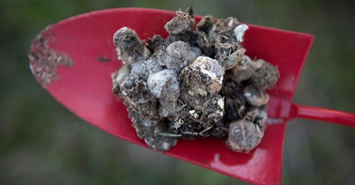 Förtroendet För Det Svenska Rättssystemet