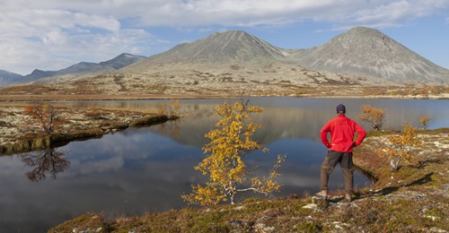 Skandinavisk Psykosocial Hälsa