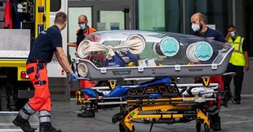 Motivation För Navalnys Oskadligörande