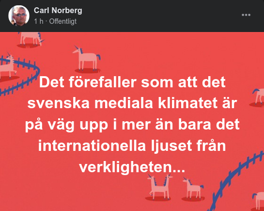 Svensk Media I Internationellt Verklighetsljus