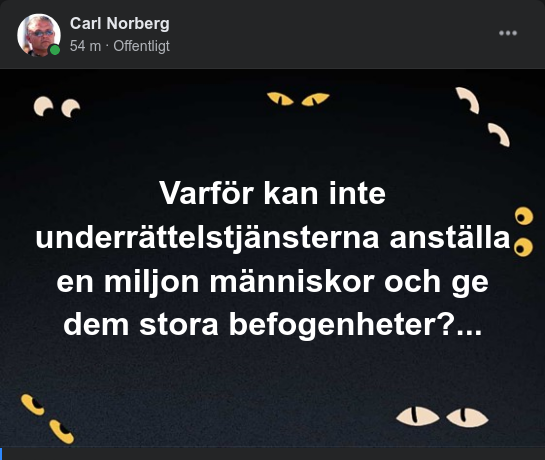 Massunderrättelsetjänsteanställning