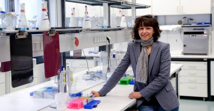 Kemiskt Nobelpris Till Luleå