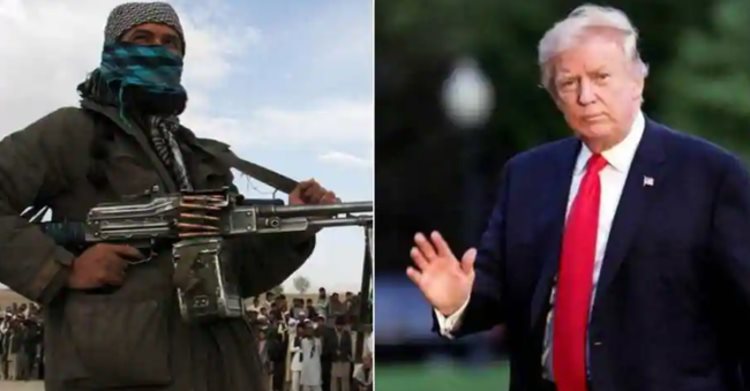 Tragikomisk Skamlöshet