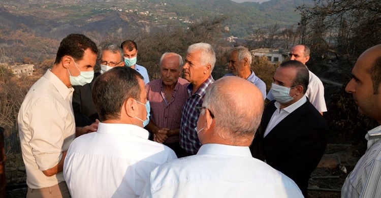 Syrianska Skogsbränder