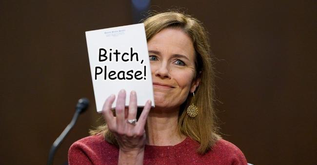 Barrett, Pelosi & Opinionsbildning