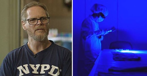 Svenskt Beteende I NFC:s Källare