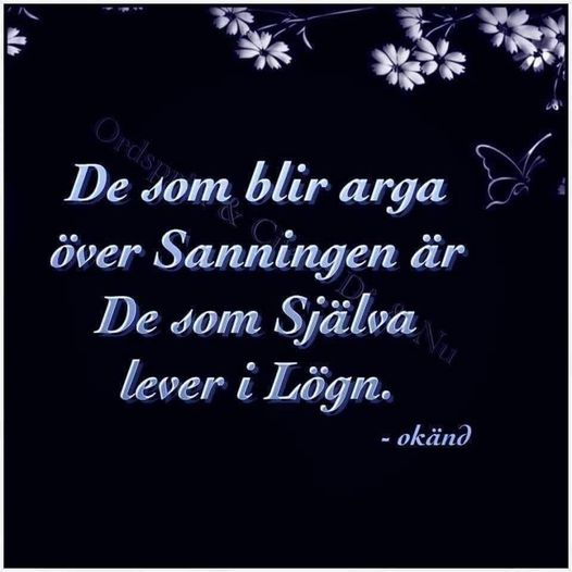 Argsinta Lögnentusiaster