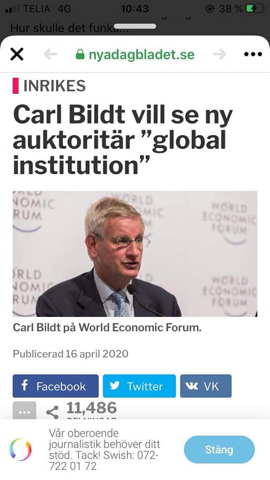 Bildt Äskar Ny Auktoritär Global Institution