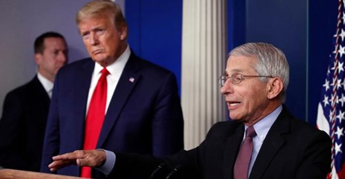 Kickad Fauci Efter Valet