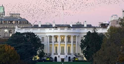 Svensk Professor & Amerikansk Juridisk Statskupp