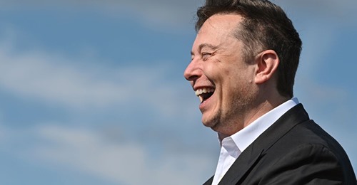 Musk I Sverige