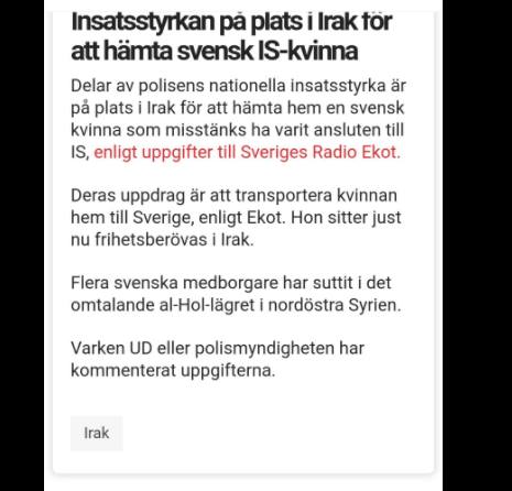 Insatsstyrkan I Irak För IS-Kvinna