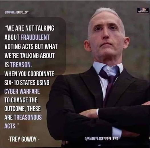 Gowdy & Treason