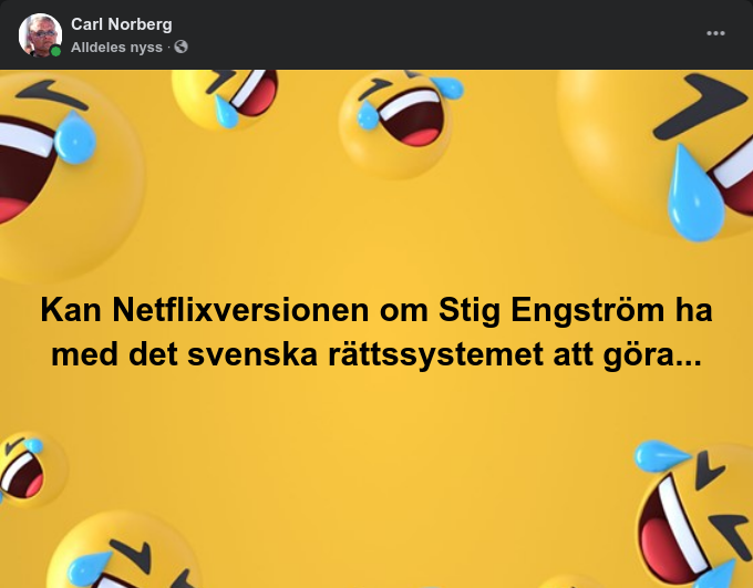 Netflix, Stig Engström & Sveriges Rättssystem