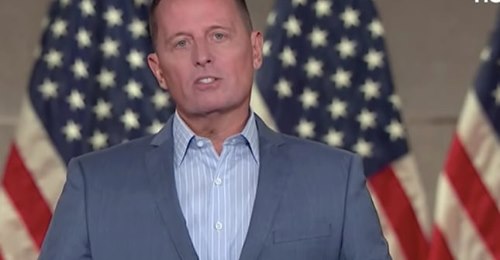 Positivt När Grenell Utses