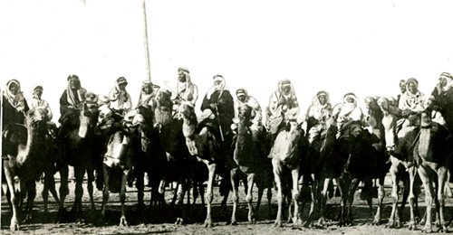 Harrison Skademinimerar