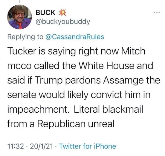 McConnell, Assange & Riksrätt