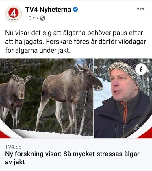 Vilodagar För Älgar