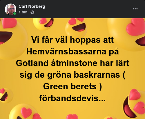 Utbildad Lärdom På Gotland