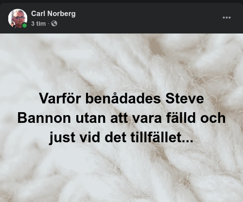 Bannons Benådan
