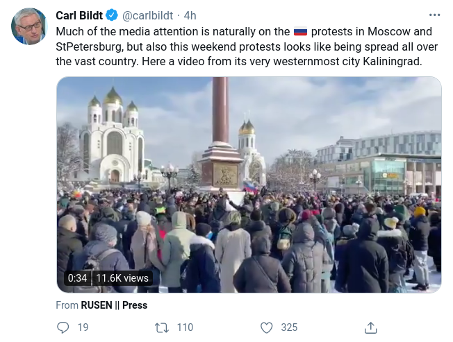 Bildt Uppmärksammar Ryska Protester