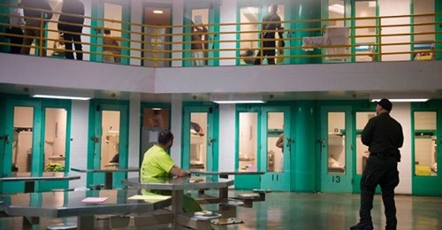 Allmänt Populärt Frisläppande