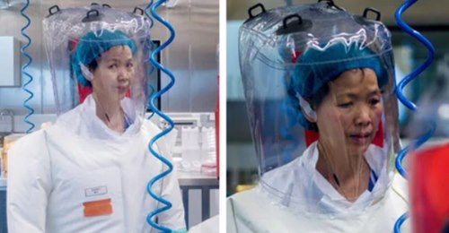 Städning Av Wuhan-Laboratorium