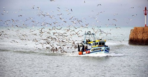 Geopolitisk Fiskeriverksamhet