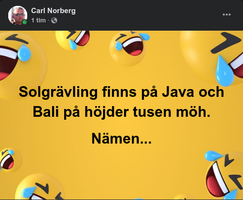 Höglevande Solgrävlingar