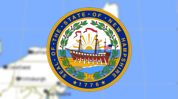 Röstningsmaskiner I USA & Svensk Nedstängningsambition