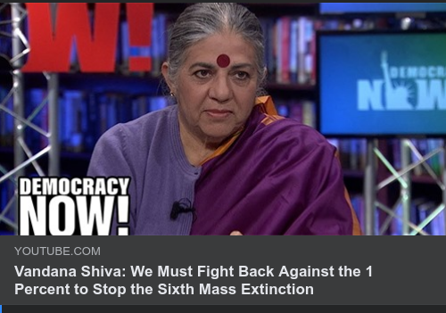 Immaterialrättsmonopolet...