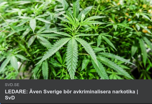 Skandinavisk Narkotikapolitik