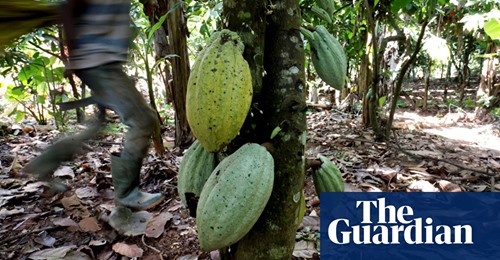 Choklad & Barnslaveri