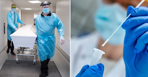 Coronavariantsbildval