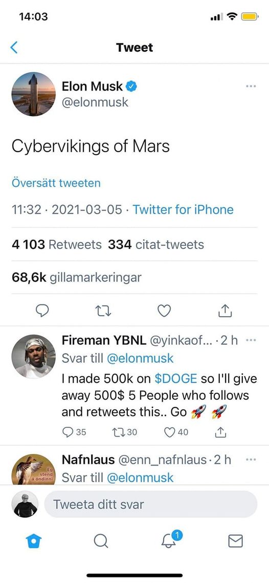 Musk & Cybervikingar Från Mars